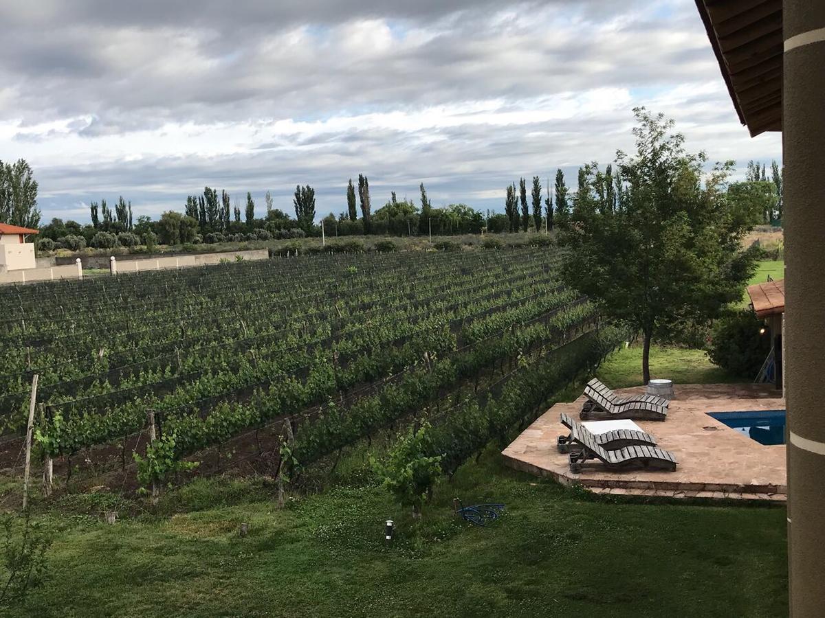 Chaglasian Wine & Suites 圣拉斐尔 外观 照片